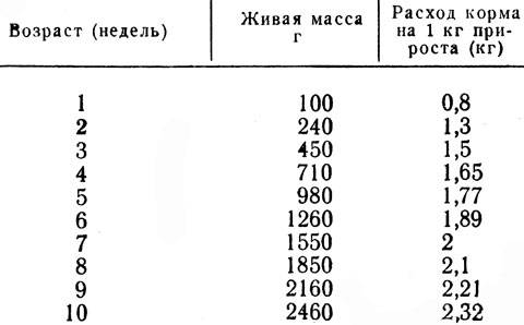ᐉ сколько корма съедает бройлер до убоя: таблица, схема питания - zooon.ru