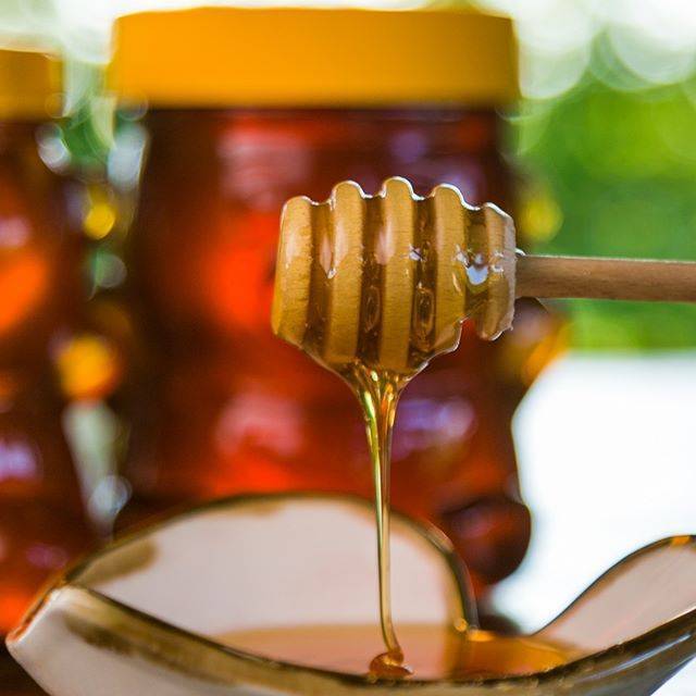 Каштановый мёд [рецепты] полезные свойства [описание и состав]