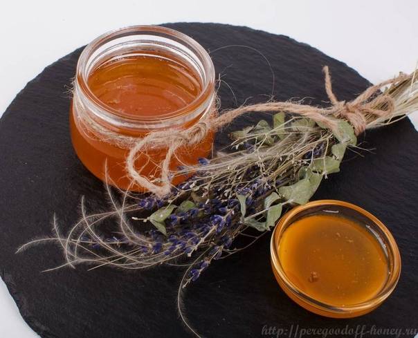 Дягилевый мёд: состав, полезные свойства и противопоказания
