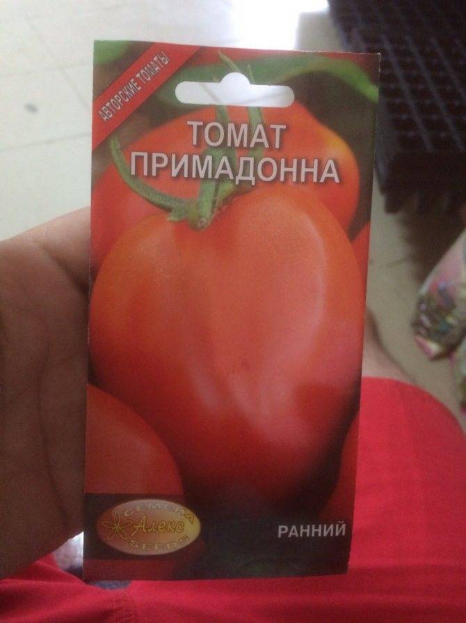 Сорт томата примадонна: описание и советы по выращиванию