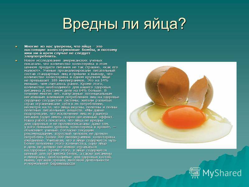Куриные яйца: польза и вред для организма. советы и видео | дамы-господа