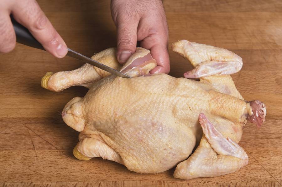Как ощипать курицу в домашних условиях: быстро и правильно