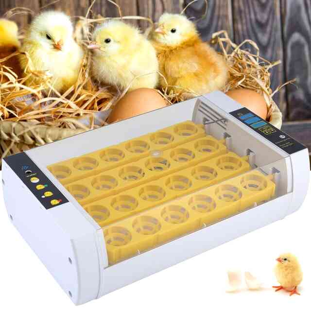 Рейтинг инкубаторов с автоматическим переворотом яиц