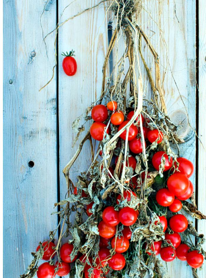 6 способов, как дома сделать зеленые помидоры спелыми и красными