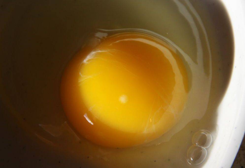 Что такое овоскопирование куриных яиц и как его правильно проводить?