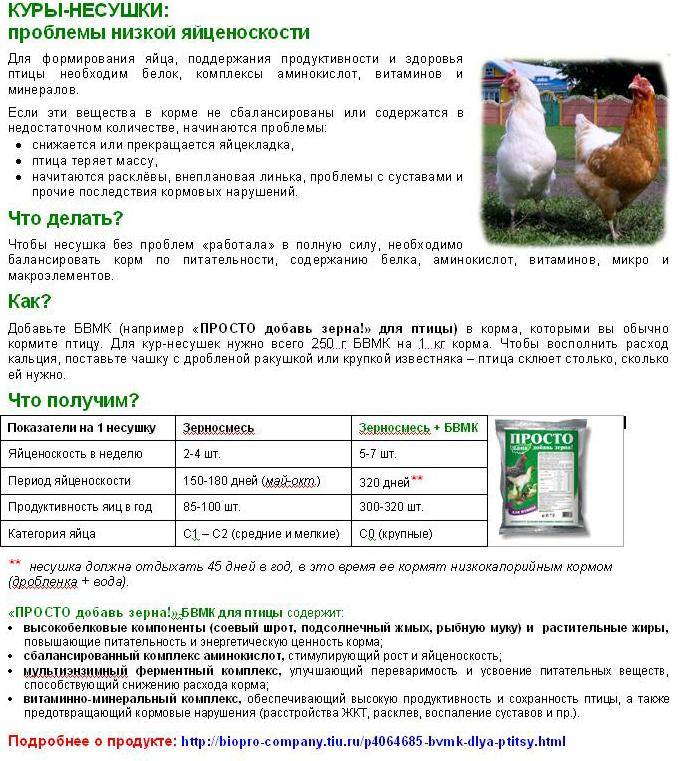 Витамины для цыплят: описание и состав лучших препаратов, дозировка