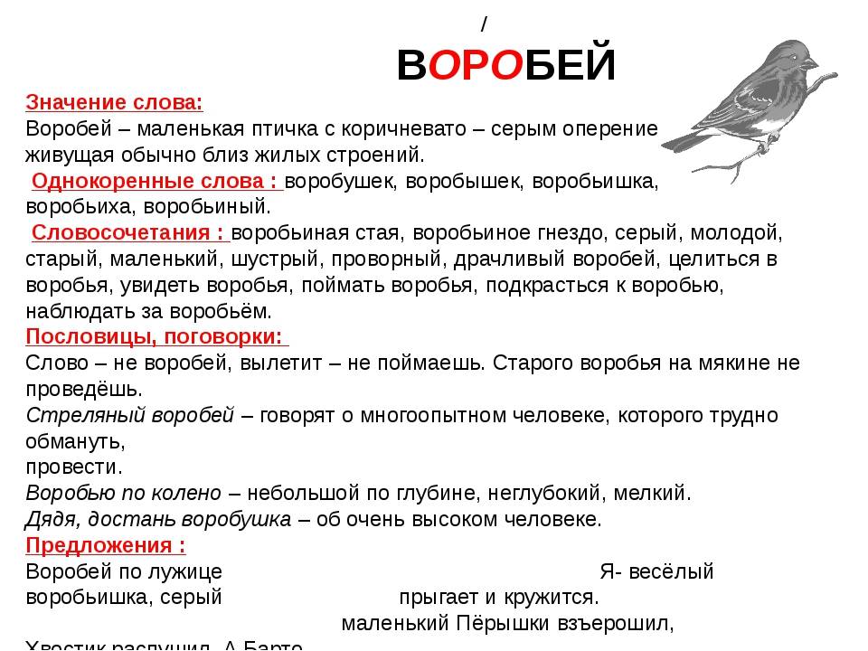 Данные по птицам. Слово Воробей. Текст про воробья. Предложение со словом Воробей. Воробей значение слова.