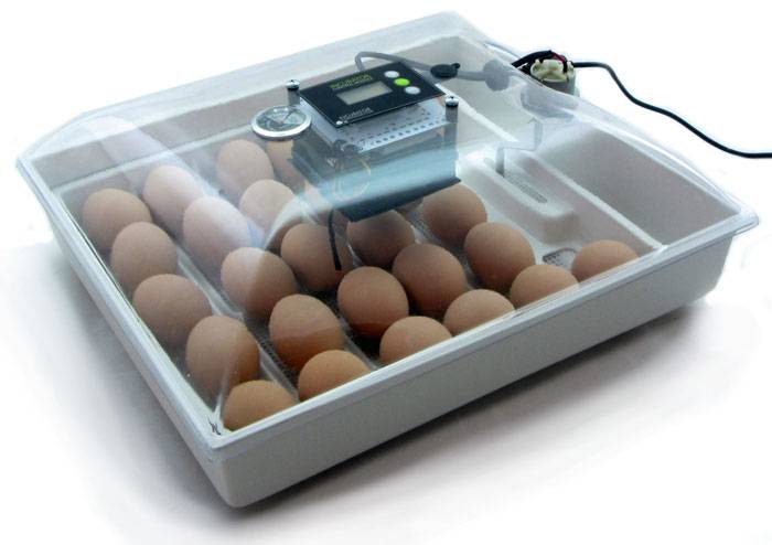 Автоматический инкубатор для куриных яиц — выбор устройства, а также самостоятельное изготовление