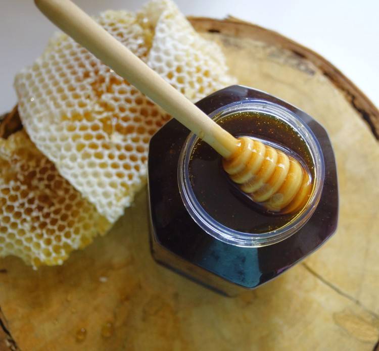 Падевый мед: что это такое, полезные свойства