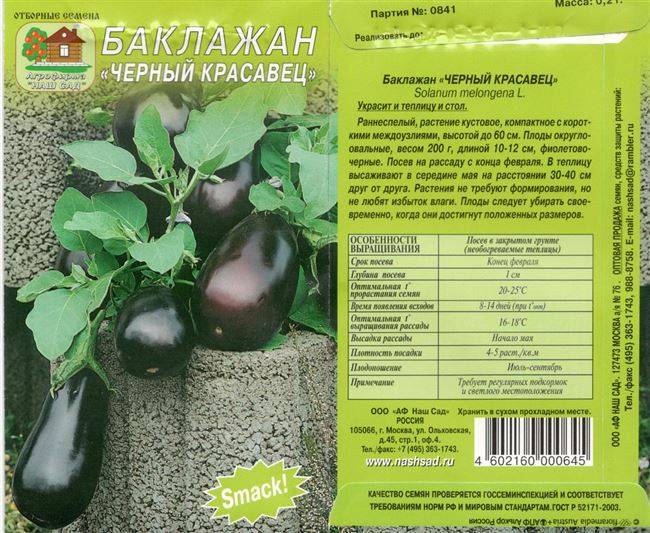 Характеристики и выращивание баклажана «черный красавец»: характеристики, свойства, методы