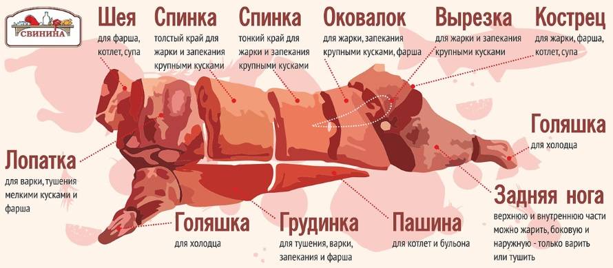 Корейка свиная — это какая часть: схема разделки туши, части свинины