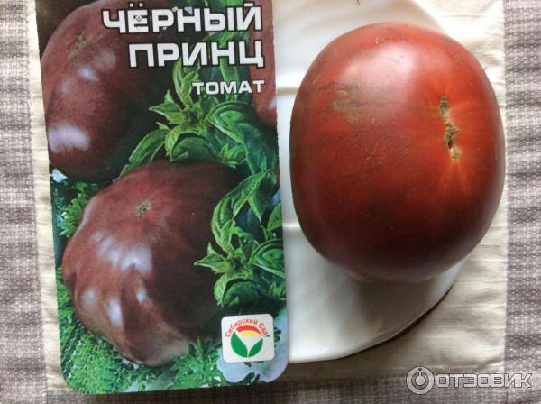 Сорт помидор черный принц: описание и характеристика, выращивание и уход