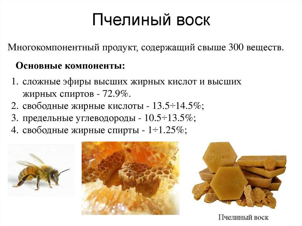 Можно ли глотать воск: пчелиный воск в сотах от меда