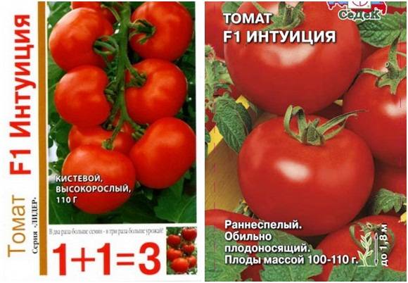 Томаты сорта «интуиция»: фото, достоинства и недостатки. особенности выращивания томатов сорта «интуиция»