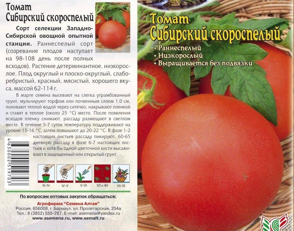 Сорт томата Сибирский скороспелый: выращивание и уход