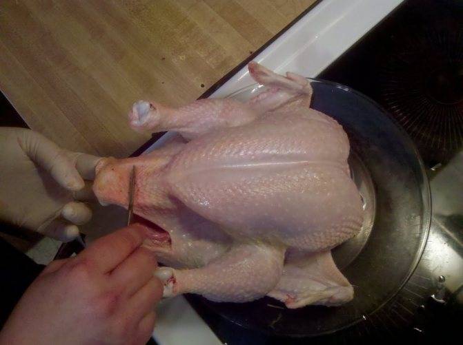 Как правильно и аккуратно разделать тушку курицы — потрошение, способы разделки