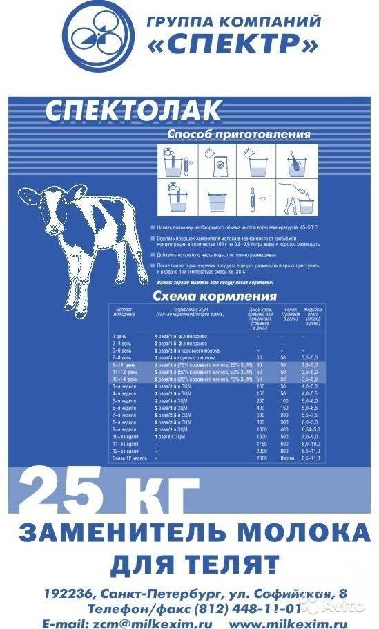 ᐉ заменитель молока для телят: выпойка, нормы, виды - zooon.ru
