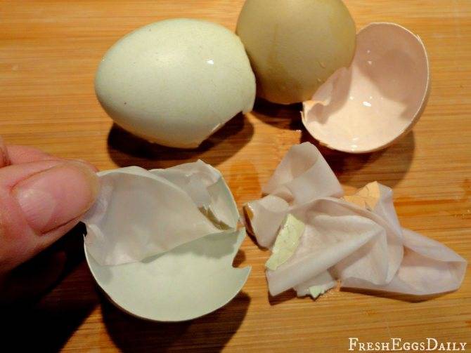 Чем кормить кур чтобы не клевали яйца