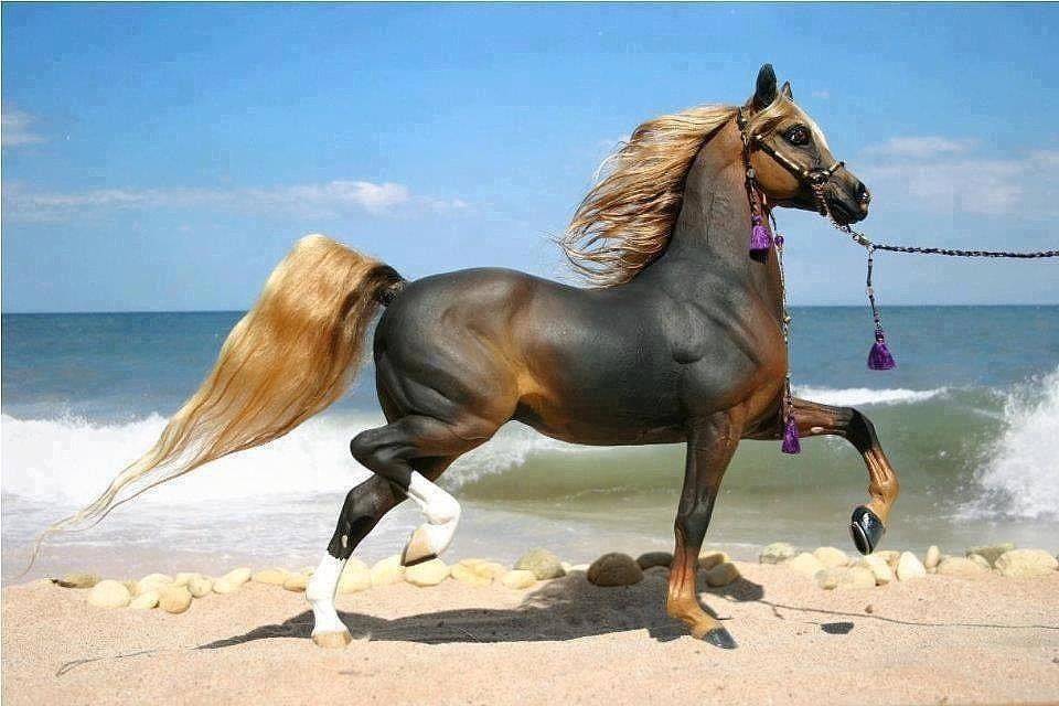 Самые красивые и необычные породы лошадей в мире