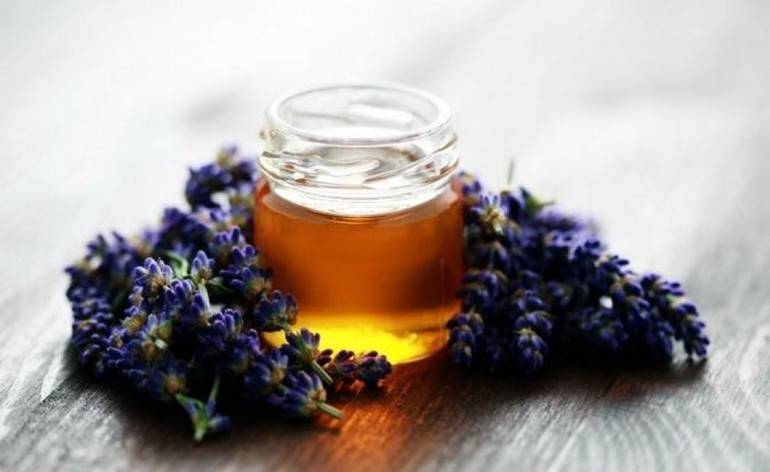 Мед серпуховый: полезные свойства, мед дальневосточный, польза и вред
