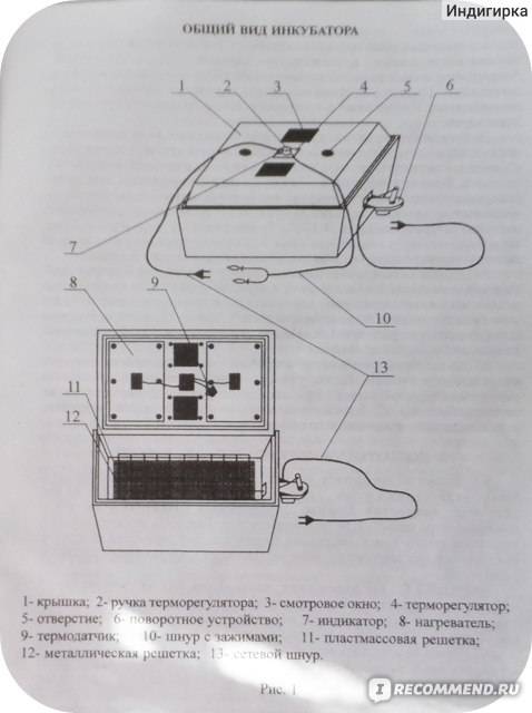 Инкубатор «золушка» — инструкция по эксплуатации и технические характеристики устройства