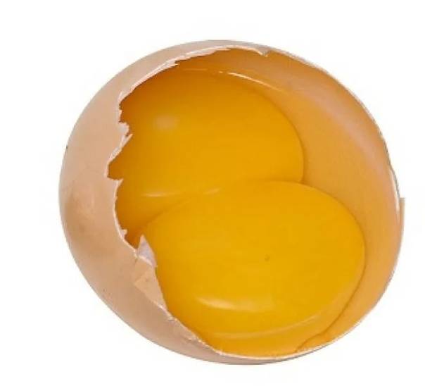 Двухжелтковое яйцо: особенности и причины появления
