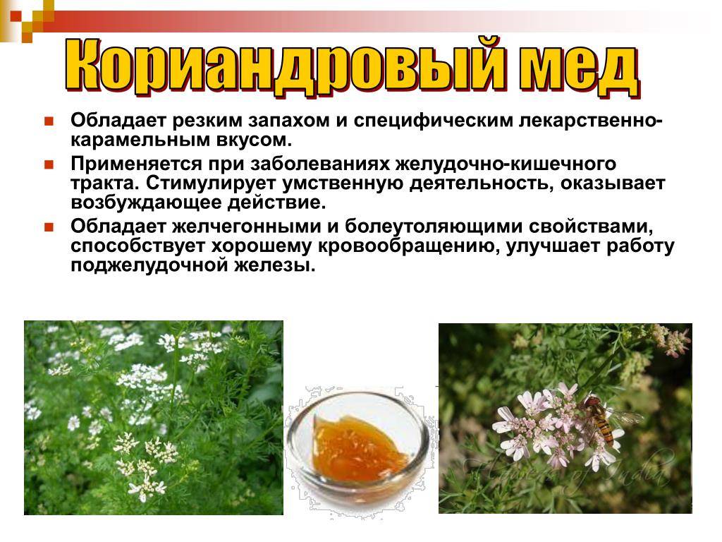 Цветочный мед полезные свойства и противопоказания