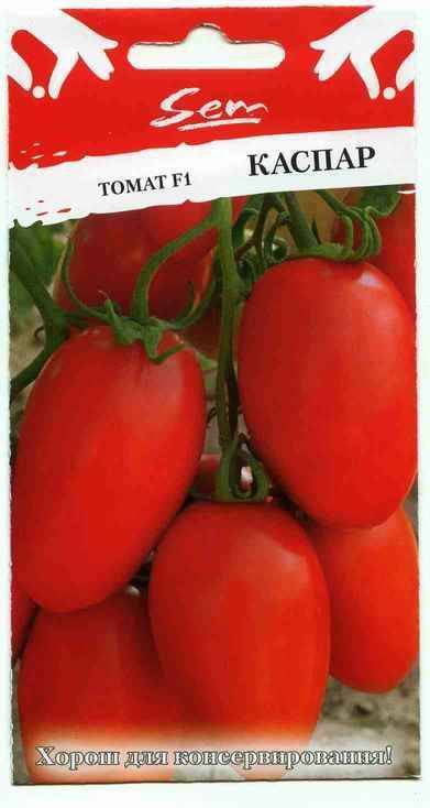 Сорт томатов каспар, описание с фото, характеристика и отзывы, а также особенности выращивания