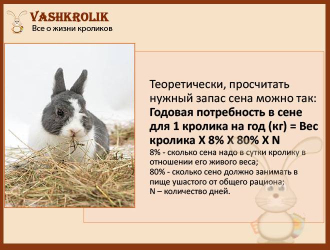 Зерновой корм для кроликов: чем и как кормить?