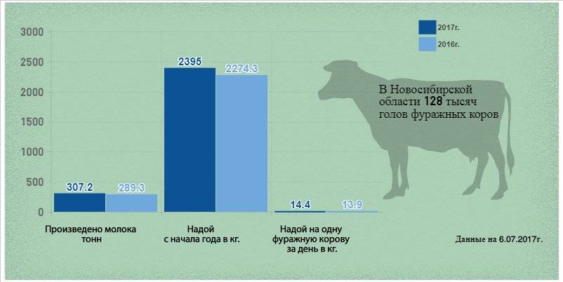 Сколько молока дает корова в сутки: норма и рекорды
