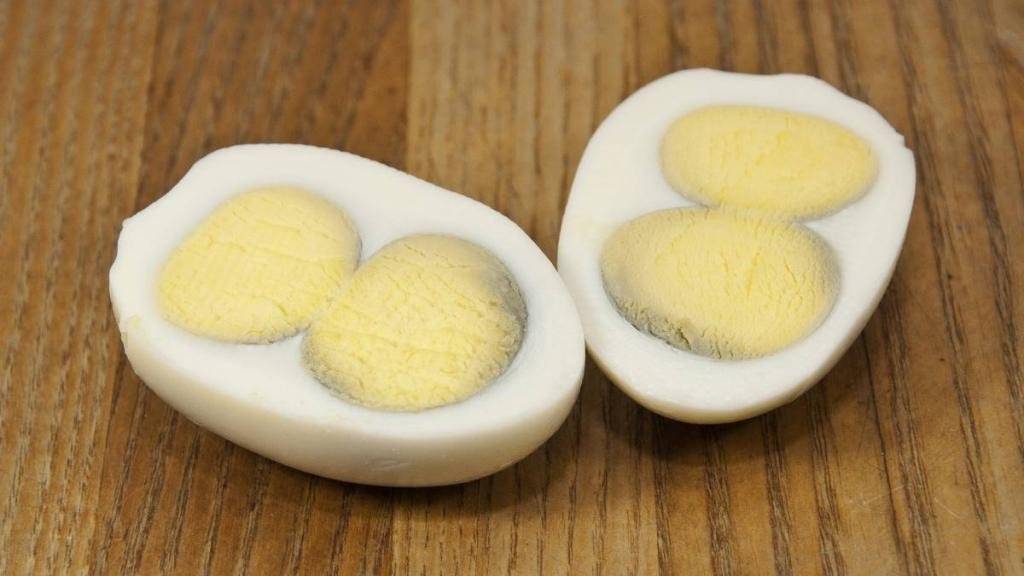 Яйца с двумя желтками: причины аномалии, способы решения