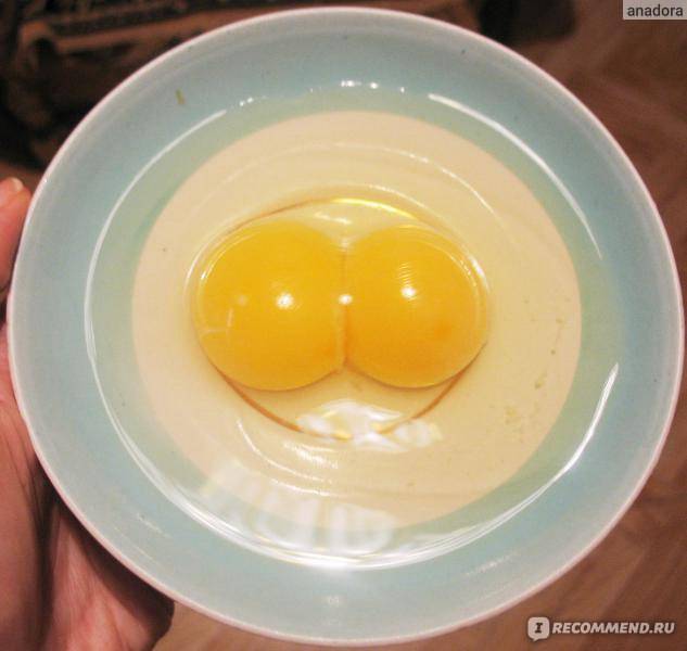 Яйца с двумя желтками: причины аномалии, способы решения