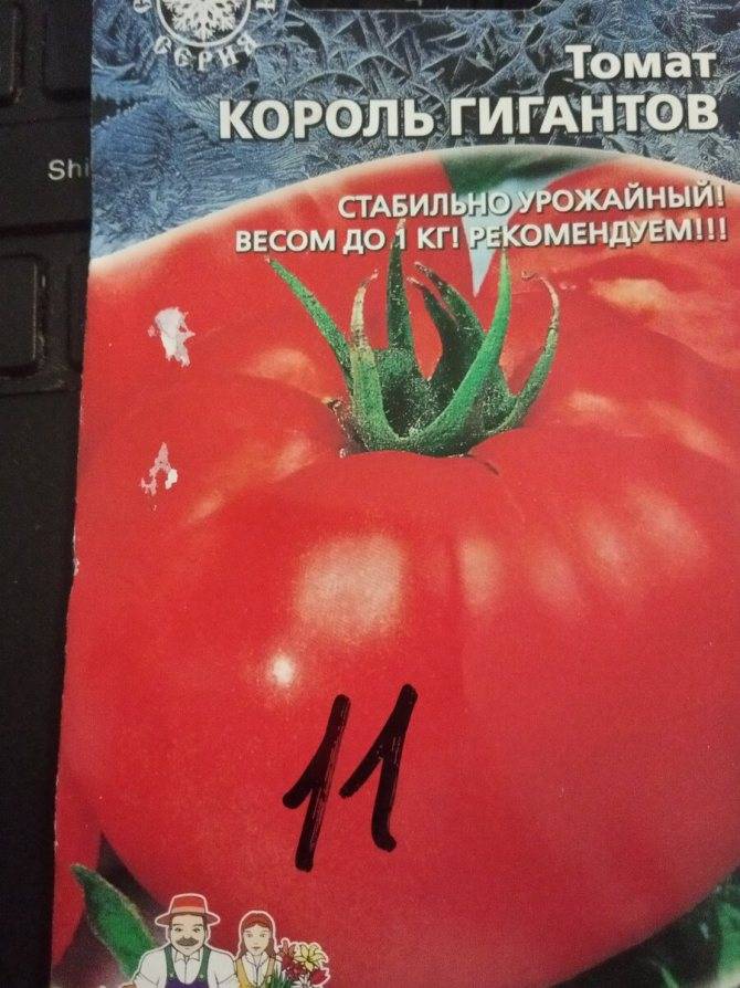 Как посадить и вырастить томат король королей - агро эксперт
