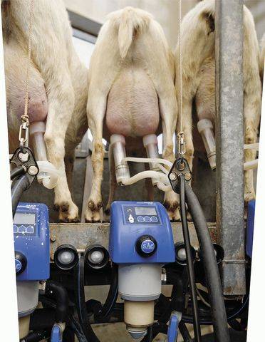 Доильные аппараты для коров — виды, особенности выбора и использования