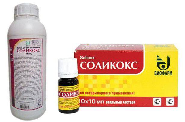 Кокцидиоз у кроликов симптомы и лечение, как давать йод для профилактики, опасность для человека - kotiko.ru