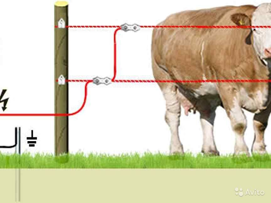 Электропастух для овец своими руками: схема сборки и инструкция по использованию