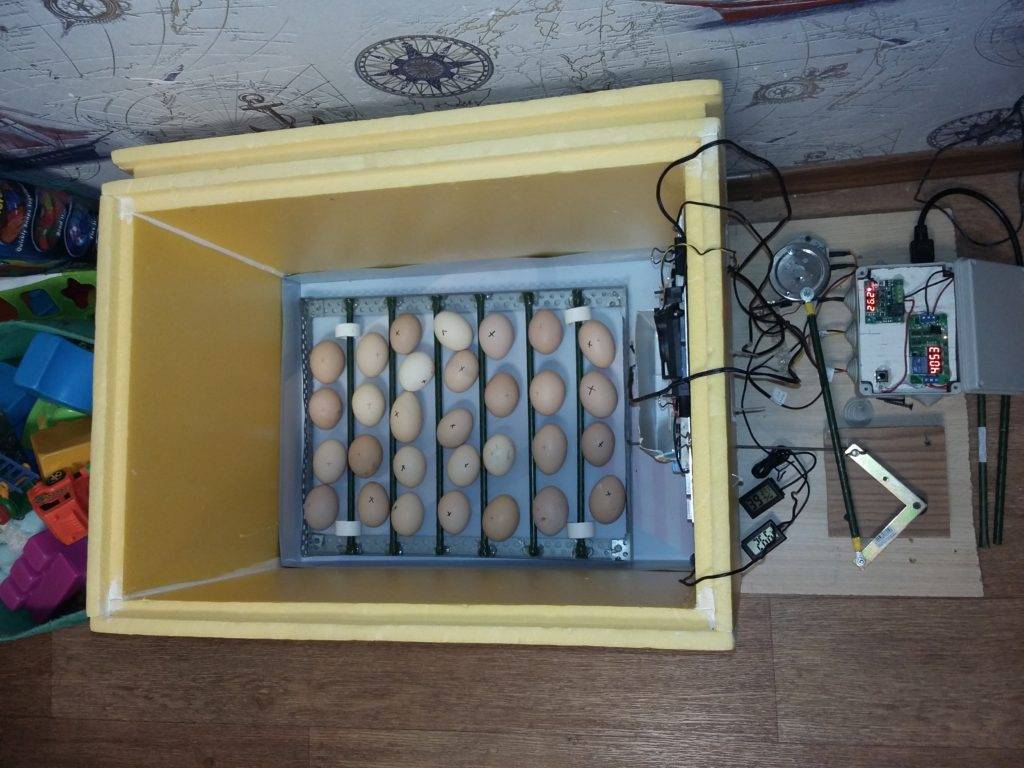 Инкубатор с автоматическим переворотом яиц: описание механизма + обзор самоделок
