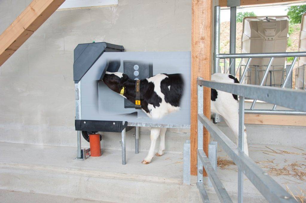 Выбираем доильный аппарат для коровы