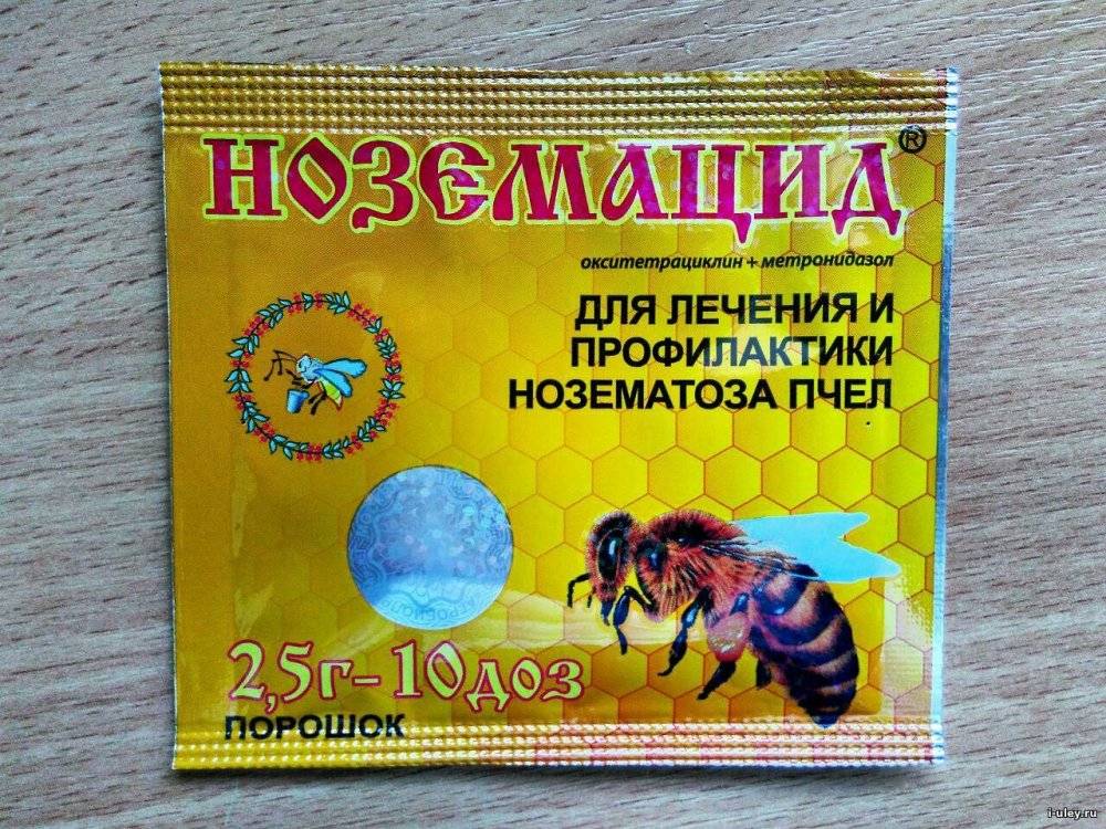 Описание симптомов и методов лечения нозематоза у пчел, профилактические меры