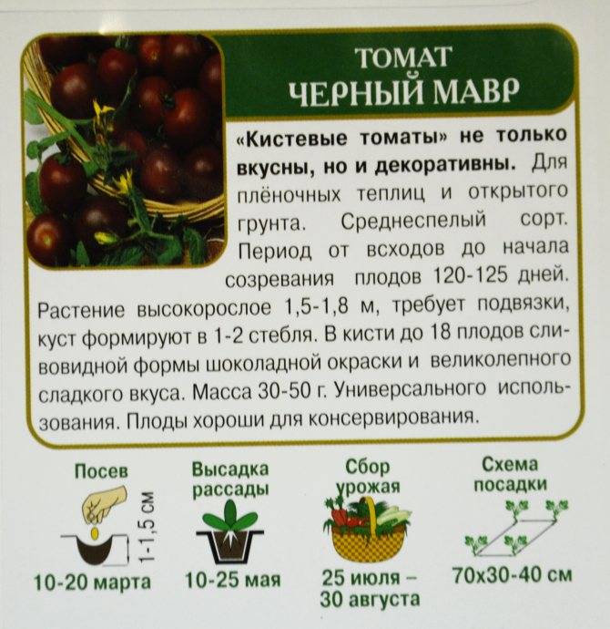 Сорт томата «черный мавр» - описание, фото, отзывы