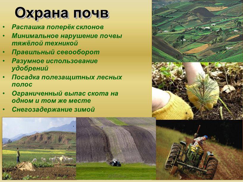 Как повысить плодородие почвы на дачном участке: агроприемы
как повысить плодородие почвы на дачном участке: агроприемы