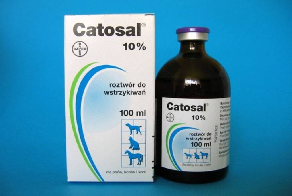 Ветеринарный препарат "катозал": инструкция по использованию