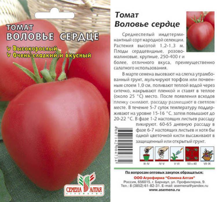 Выращивание помидоров сорта Воловье сердце