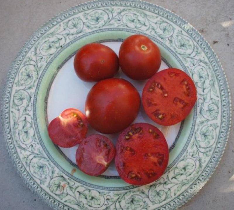 На 100% подходящий сорт томатов для выращивания в открытом грунте — ямал