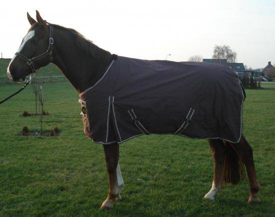 Попона для лошади: выкройка и шитье