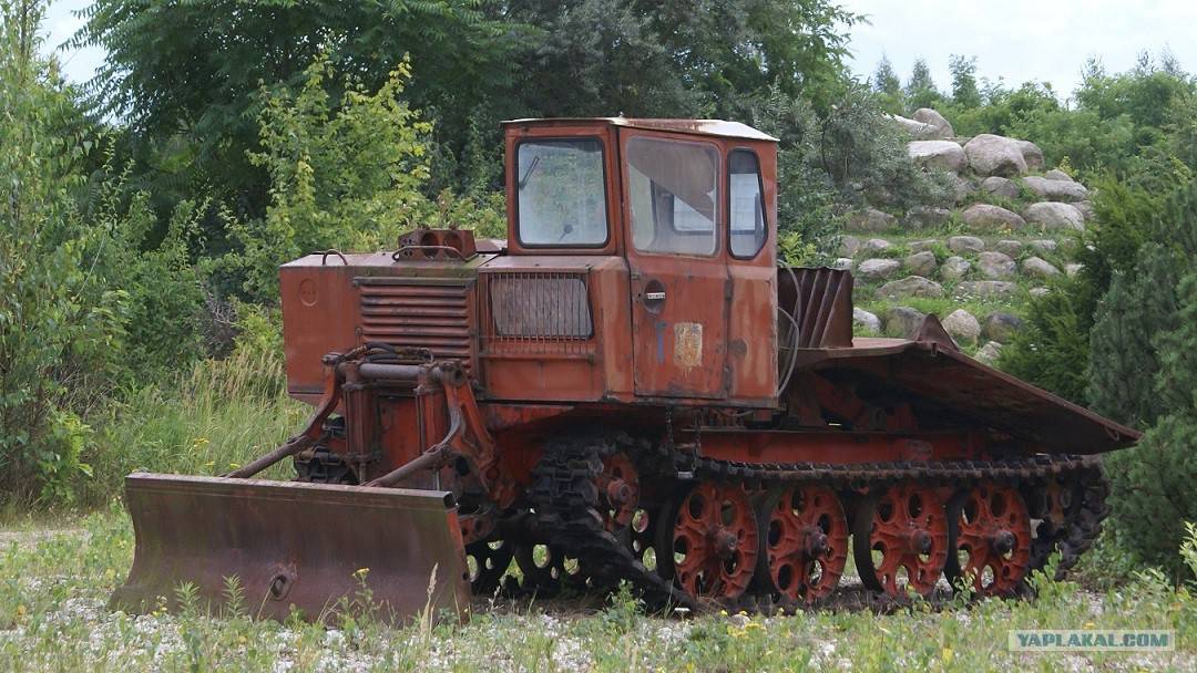 Трелёвочный трактор тдт-55 — легендарный лесозаготовщик