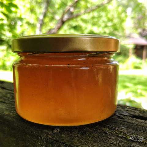 Редкий и уникальные пчелиный продукт — чернокленовый мед, полезные свойства и противопоказания меда