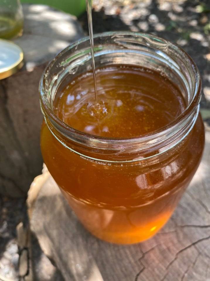Вересковый мед: полезные свойства, противопоказания | мёд | пчеловод.ком