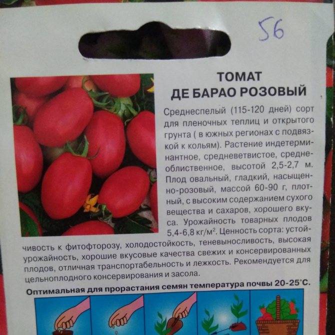 Томат де барао черный: описание сорта, отзывы, фото, характеристика | tomatland.ru