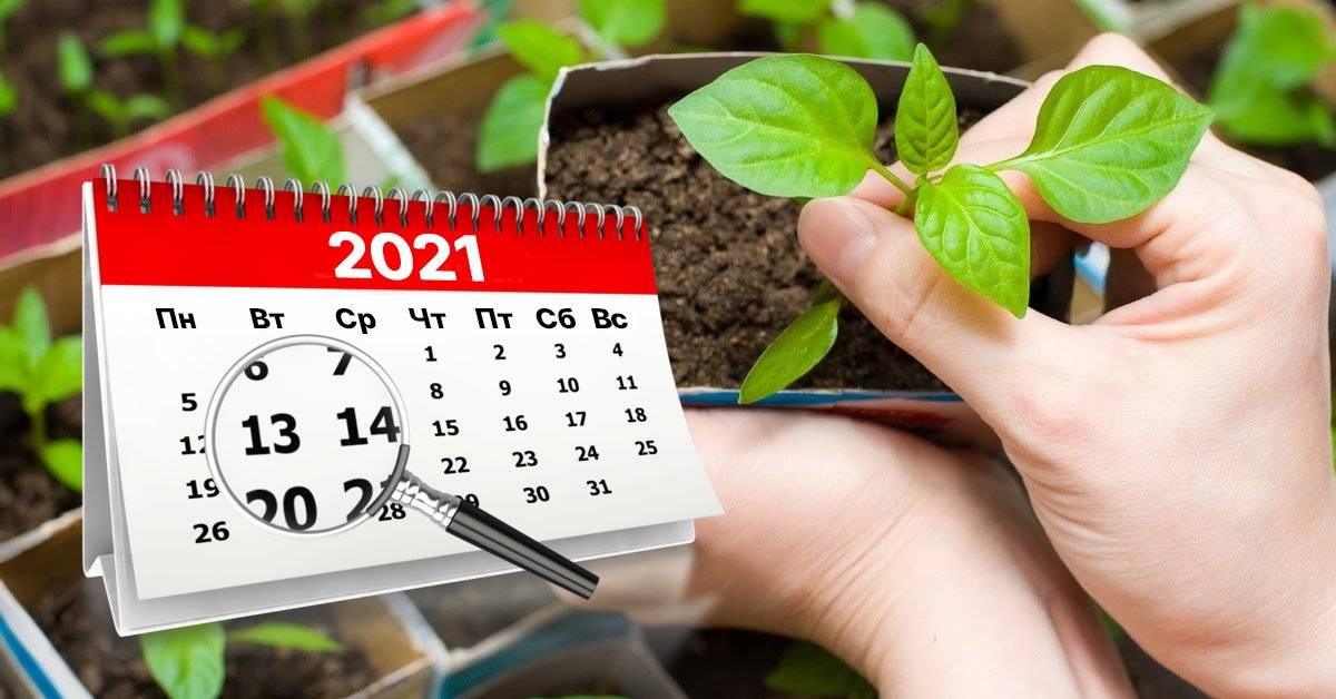 Календарь дачника на 1-15 апреля 2021 года: список самых важных мероприятий